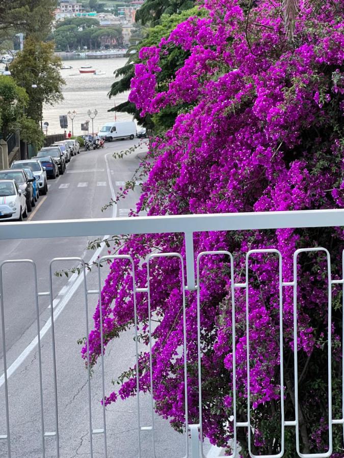 Welcome Riviera -Torre D'Avorio Appartamento 126 Mq Piu'Terrazzo25 Mq - Totalmente Rinnovato- 250 M Dal Centro - Parcheggio A Pagamento 15 Euro Al Giorno Da Prenotare In Anticipo Salvo Dispo -Parking At 15 Euro Per Day To Be Booked In Advance If Avai Rapallo Ngoại thất bức ảnh